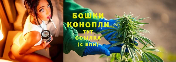 PSILOCYBIN Остров