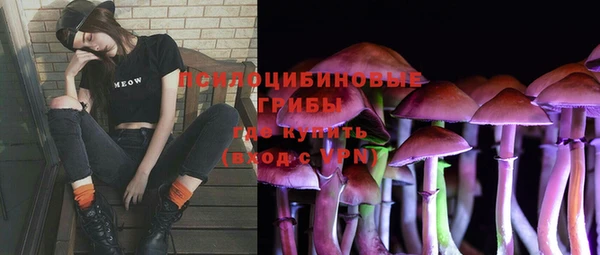 ALPHA PVP Осинники