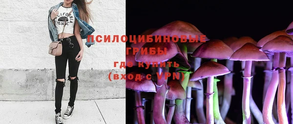 ешки Нягань