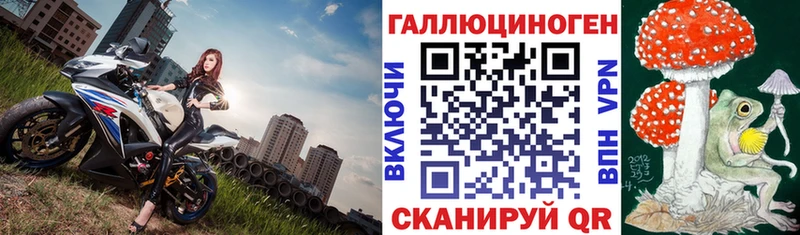 кракен ТОР  Шенкурск  Галлюциногенные грибы Magic Shrooms  где купить  